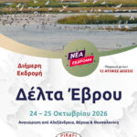 Δέλτα Έβρου