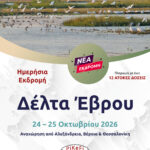 Δέλτα Έβρου